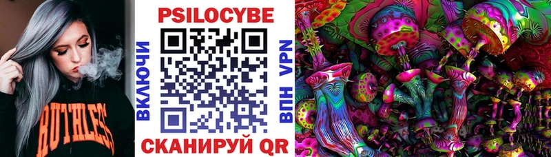 цена   Магадан  shop как зайти  Псилоцибиновые грибы MAGIC MUSHROOMS  ссылка на мегу ссылка 